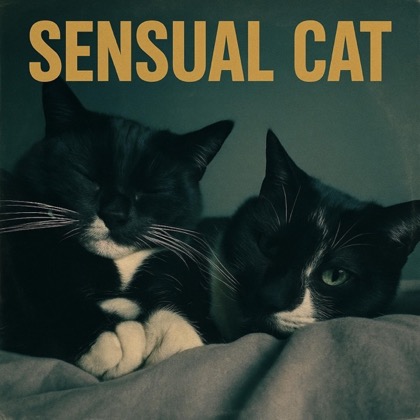Sensual Cat cover