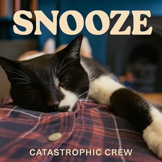 Snooze cover